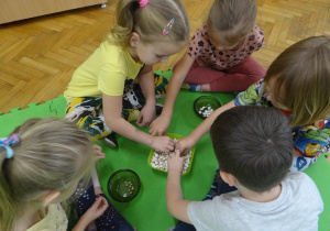 Dzieci oddzielają groch od fasoli
